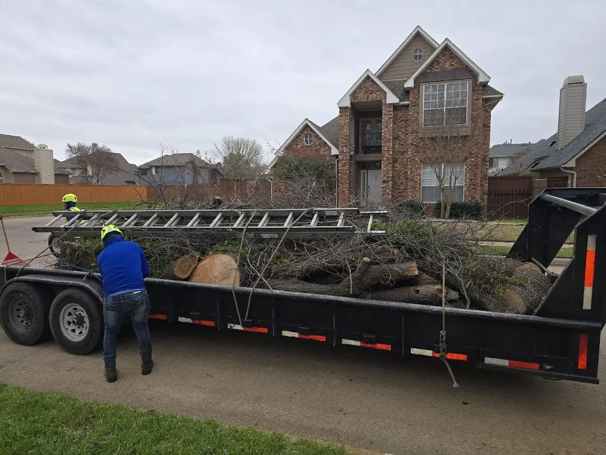Expert Lot Clearing with proper safety equipment in Goshen